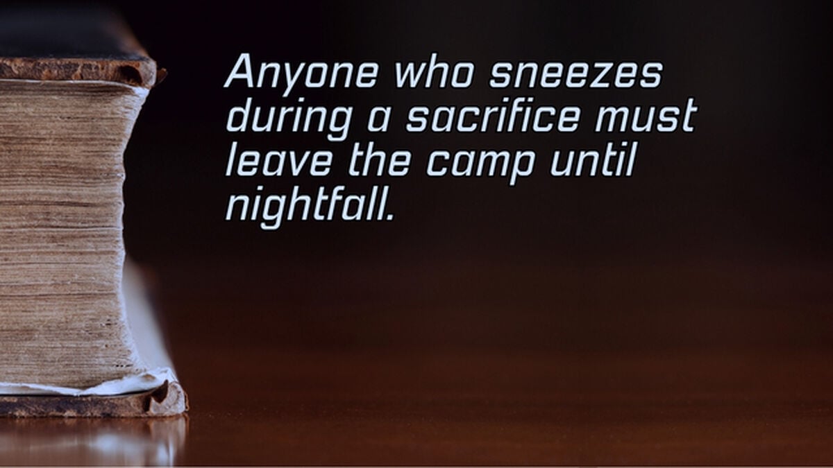 Chat GPT or Old Testament Law image number null